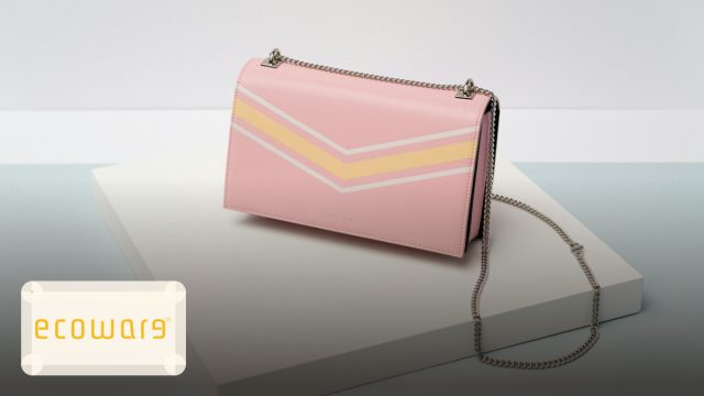 Ecoware: The Story of an Indian Brand from New Delhi