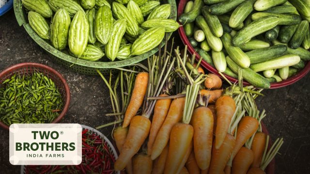 Two Brothers Organic Farms Brand Story — Indian Food & Beverage from Pune